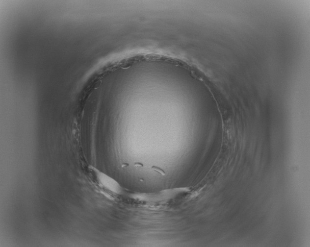 X0000069791495200606021359