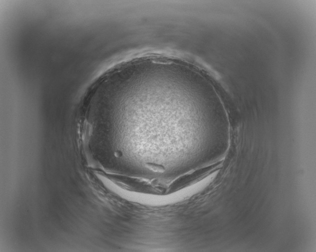 X0000069791496200606021359