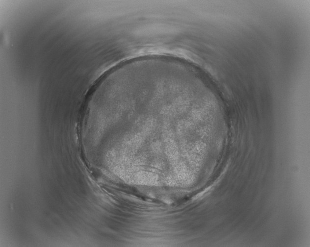 X0000069791497200606021359