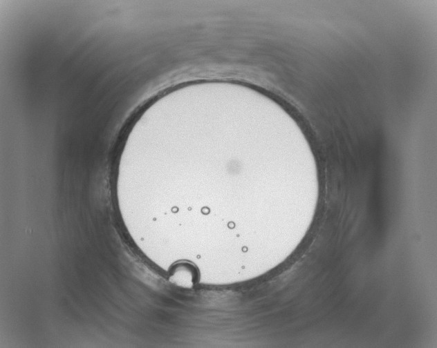 X0000069791498200606021359