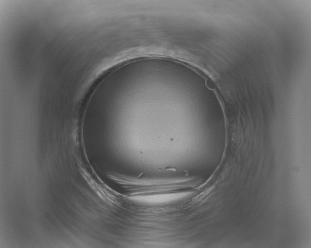 X0000069791499200606021359