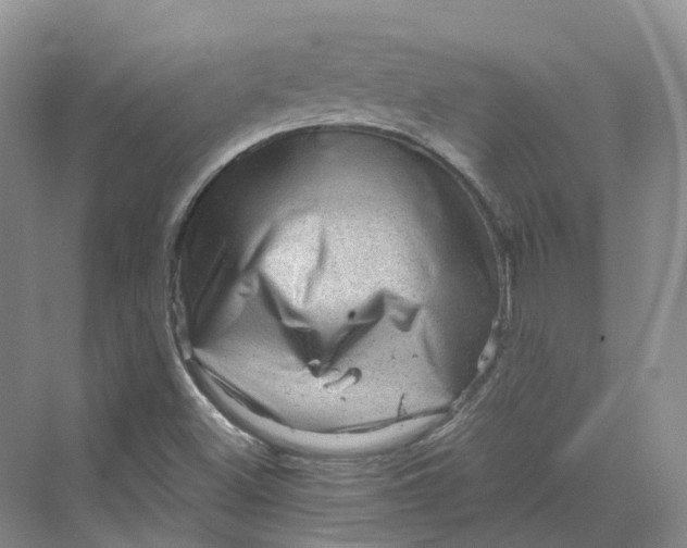 X0000069791500200606021359