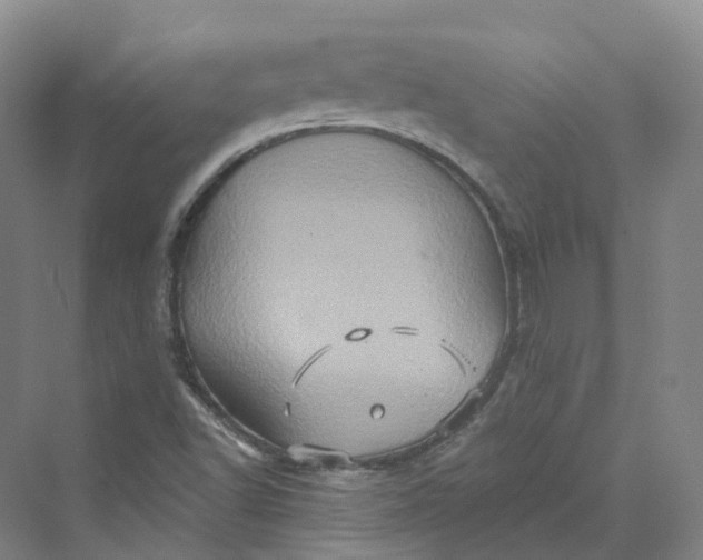 X0000069791502200606021359