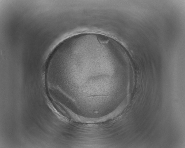 X0000069791503200606021359