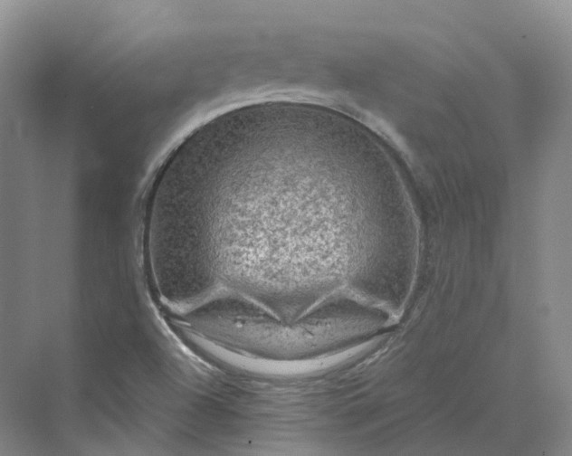 X0000069791504200606021359