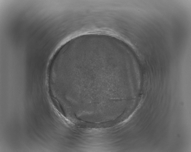 X0000069791506200606021359