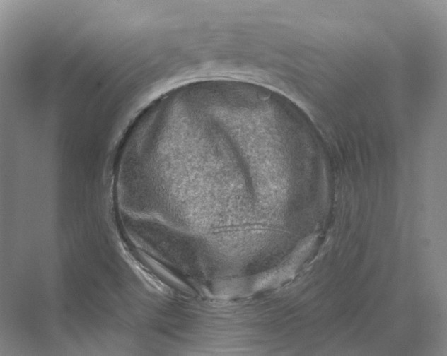 X0000069791507200606021359