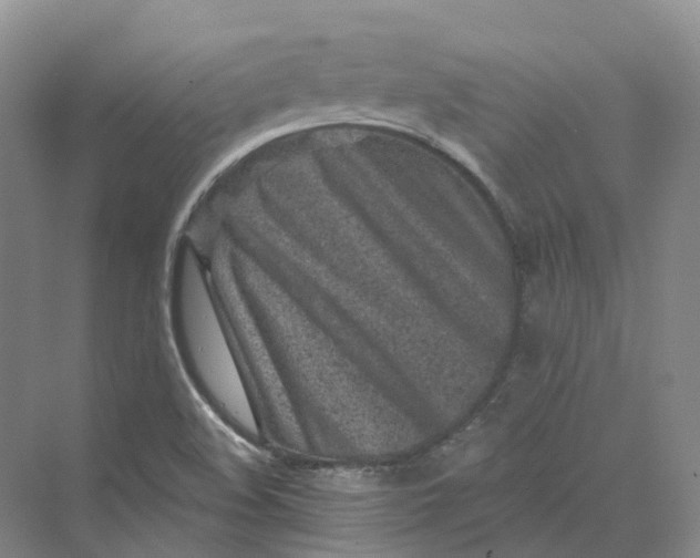 X0000069791508200606021359