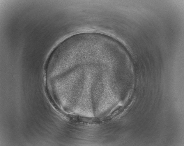 X0000069791509200606021400