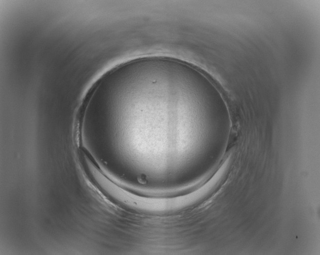 X0000069791510200606021400