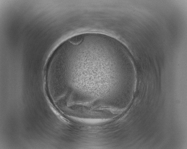 X0000069791511200606021400