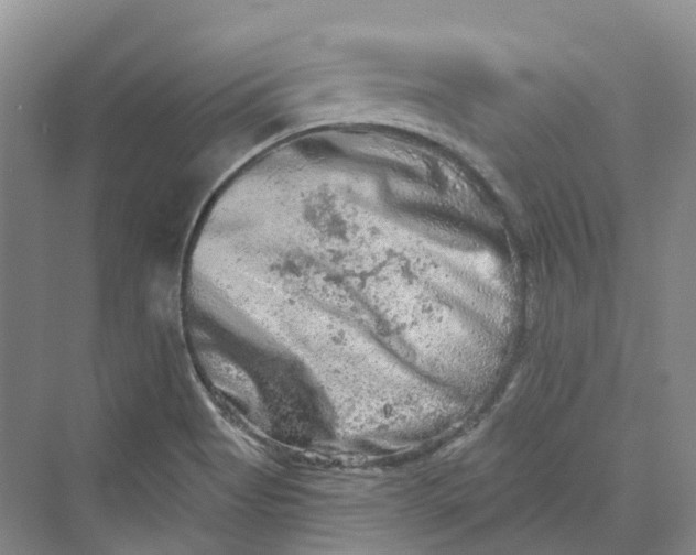 X0000069791513200606021400