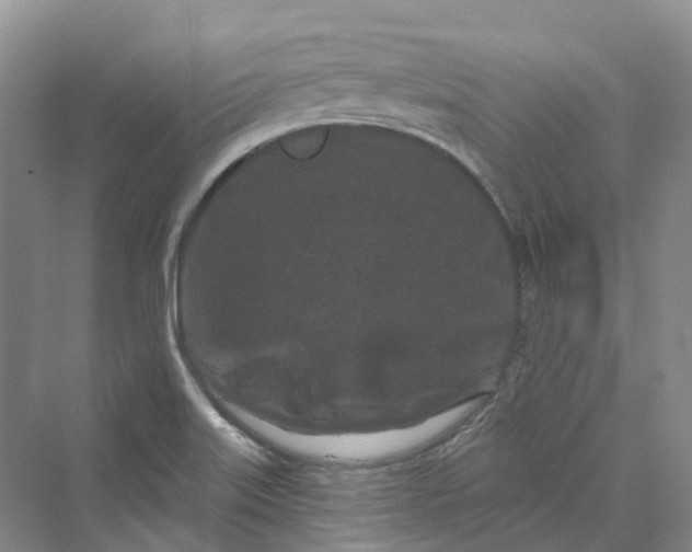 X0000069791515200606021400