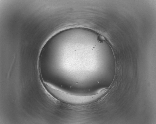 X0000069791516200606021400