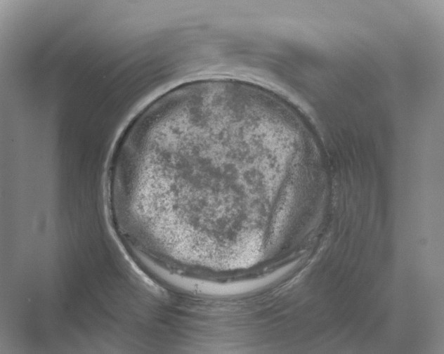 X0000069791517200606021400