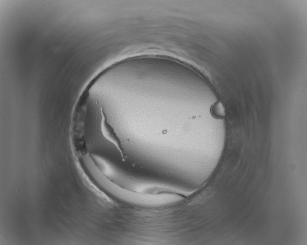 X0000069791518200606021400