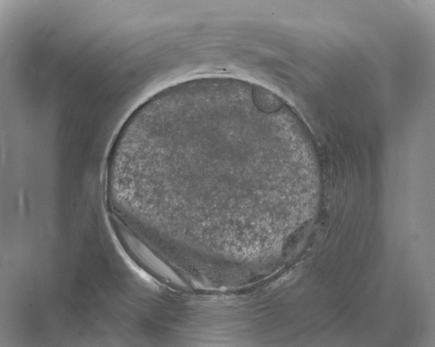 X0000069791519200606021400