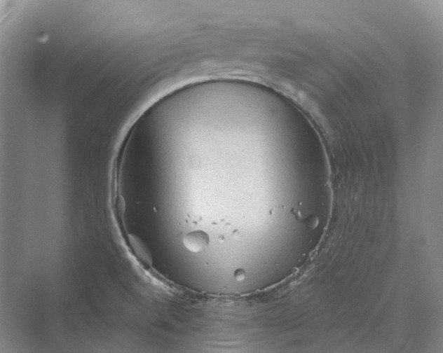 X0000069791520200606021400