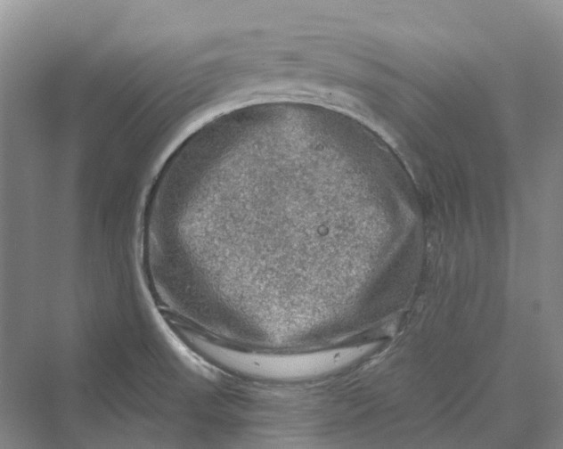 X0000069791523200606021400