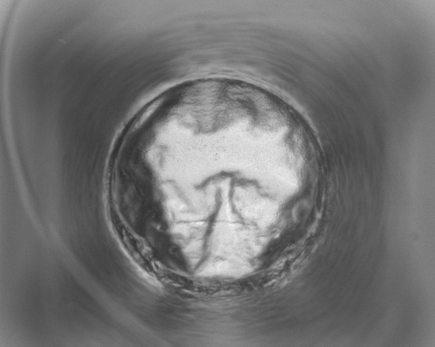 X0000069791525200606021400