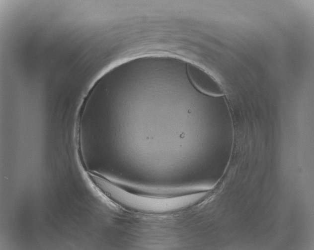 X0000069791526200606021400