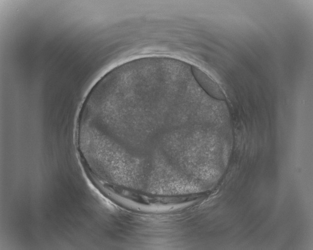 X0000069791527200606021400