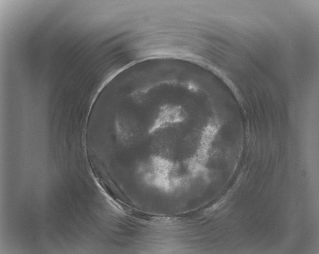 X0000069791529200606021400