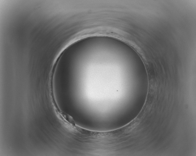 X0000069791530200606021400