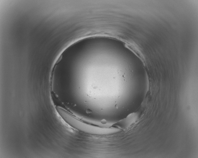 X0000069791532200606021400