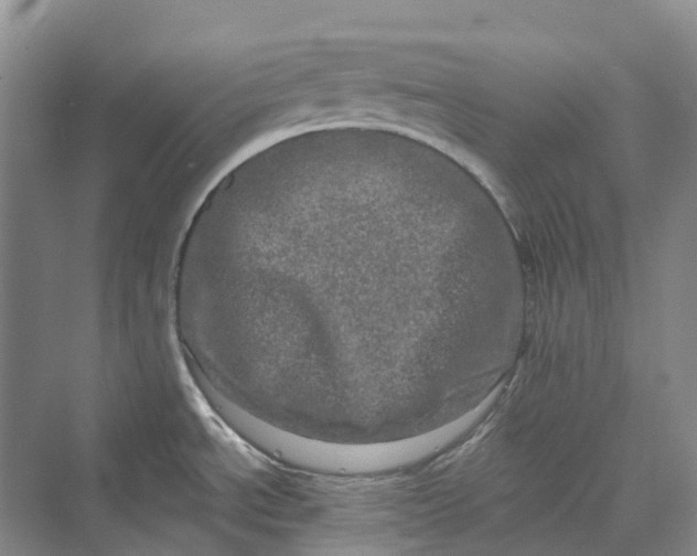 X0000069791534200606021400