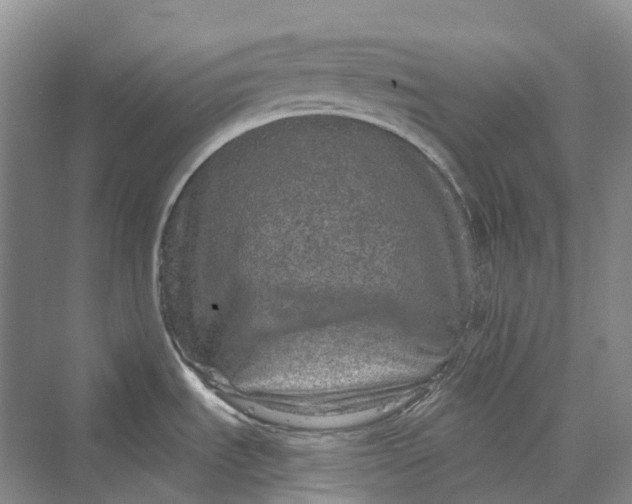 X0000069791535200606021400