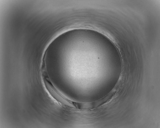 X0000069791536200606021400