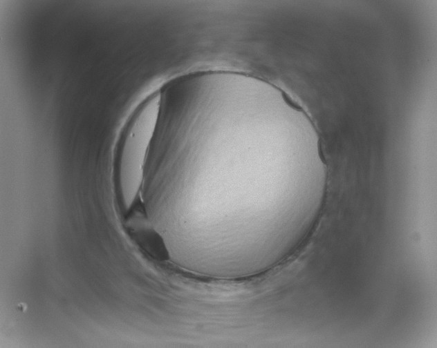 X0000069790008200606091755