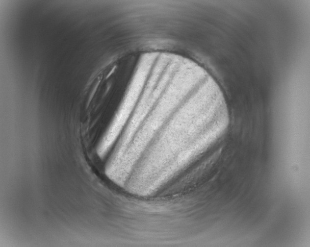 X0000069790010200606091755
