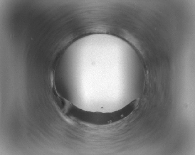 X0000069790013200606091755