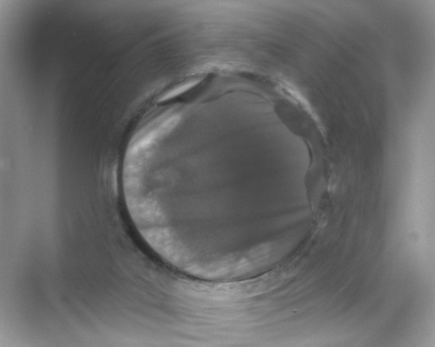 X0000069790019200606091755