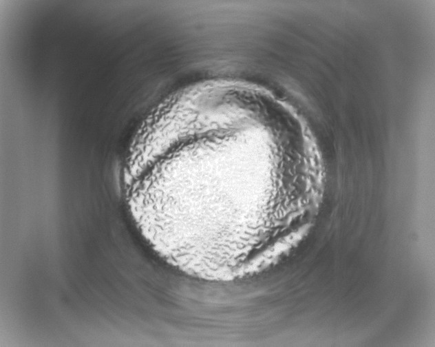 X0000069790022200606091754