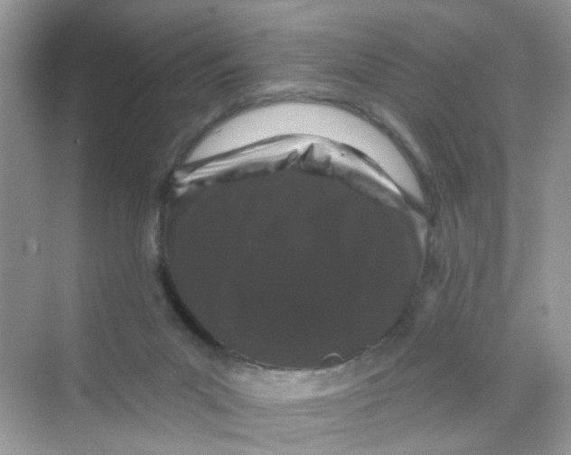 X0000069790023200606091754