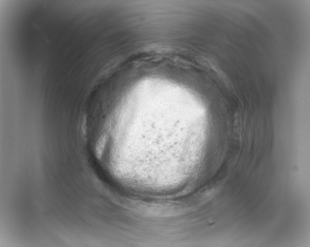 X0000069790024200606091754