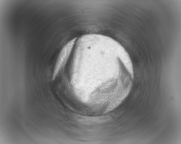 X0000069790034200606091754