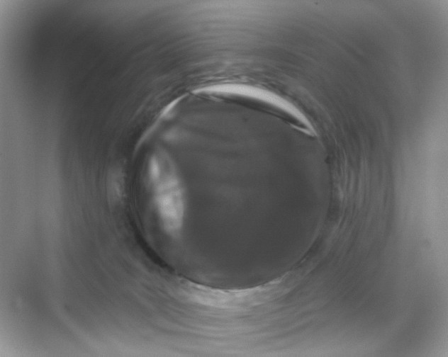X0000069790035200606091754