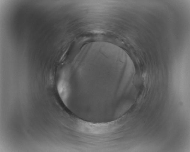 X0000069790039200606091754