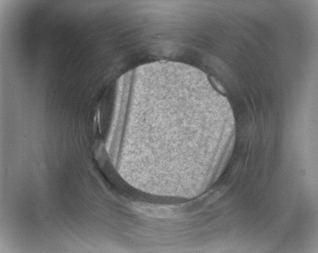 X0000069790040200606091754