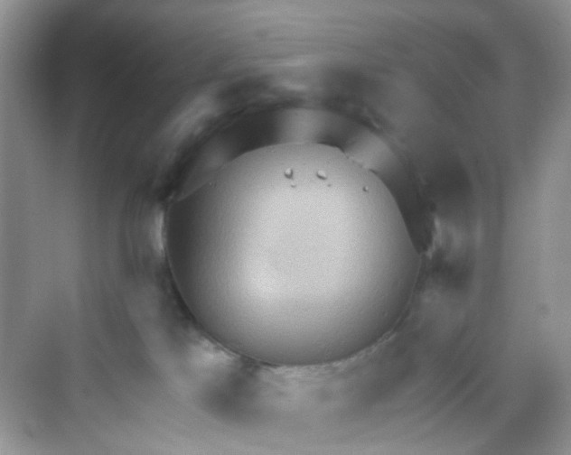 X0000069790041200606091754