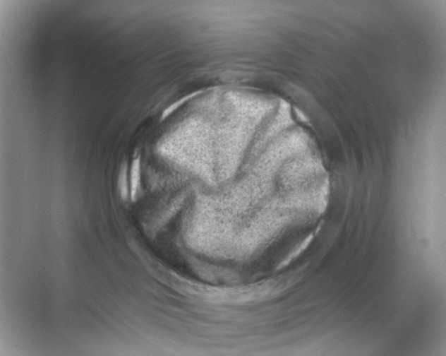 X0000069790046200606091754