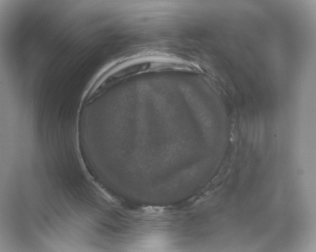 X0000069790052200606091753