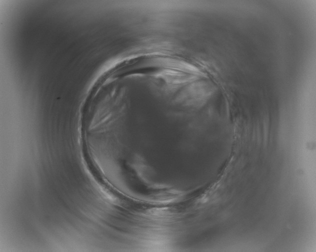 X0000069790054200606091753