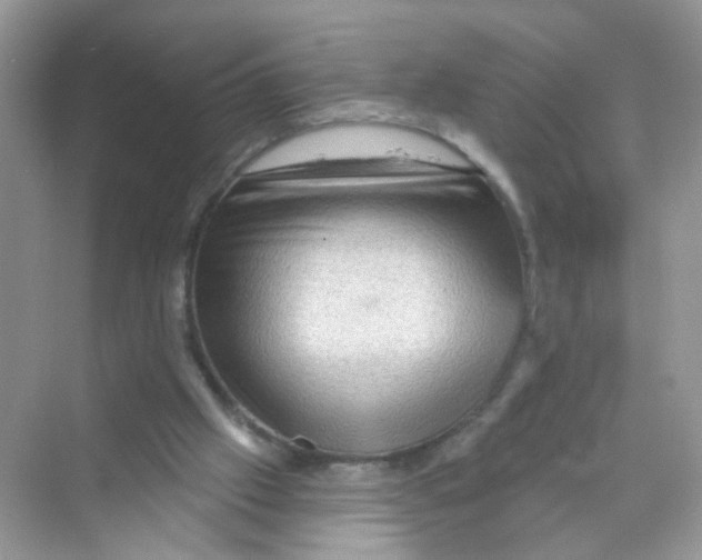 X0000069790057200606091753