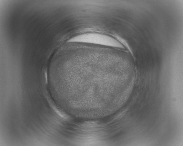 X0000069790061200606091753