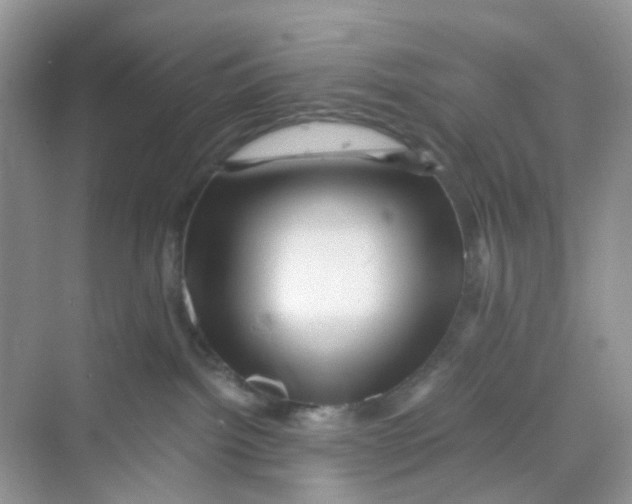 X0000069790092200606091754